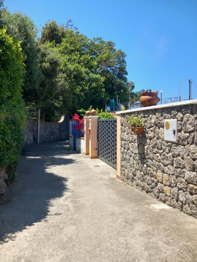 Villetta Panoramica Forio di Ischia Extérieur photo