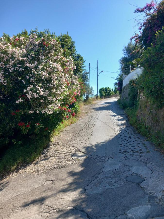 Villetta Panoramica Forio di Ischia Extérieur photo